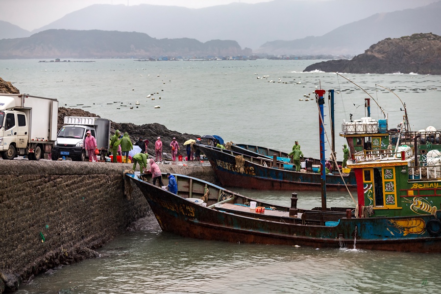 鱼腹浦_鱼腹浦_鱼腹浦