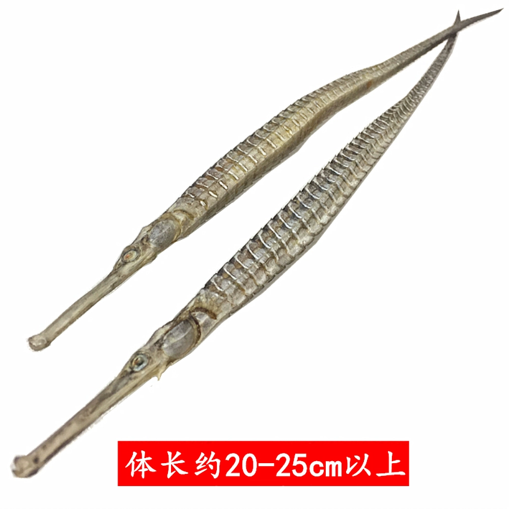 食海龙武器_海龙初始_海龙食谱