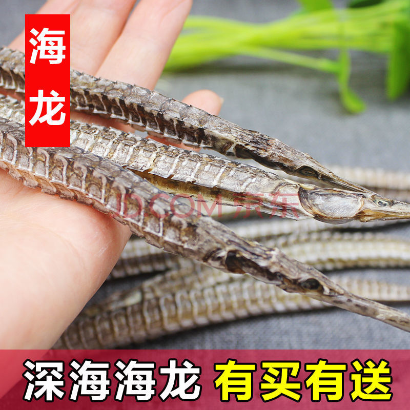 食海龙武器_海龙食谱_海龙初始