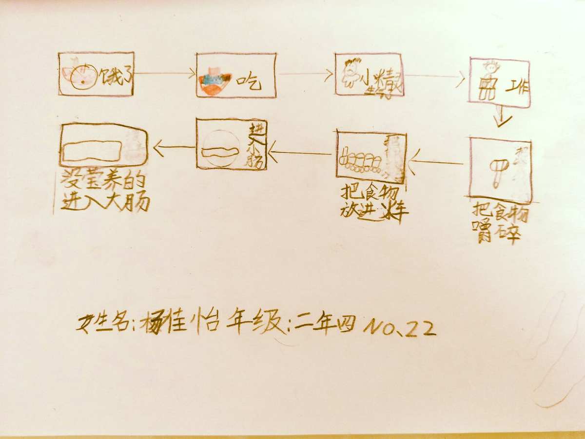 六年级下册数学课课通_数学通_数学通讯