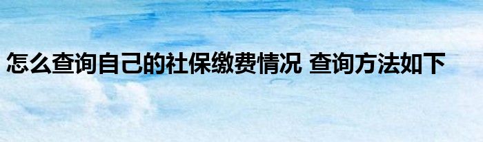 北京社保网上服务平台：便利你的社保办理