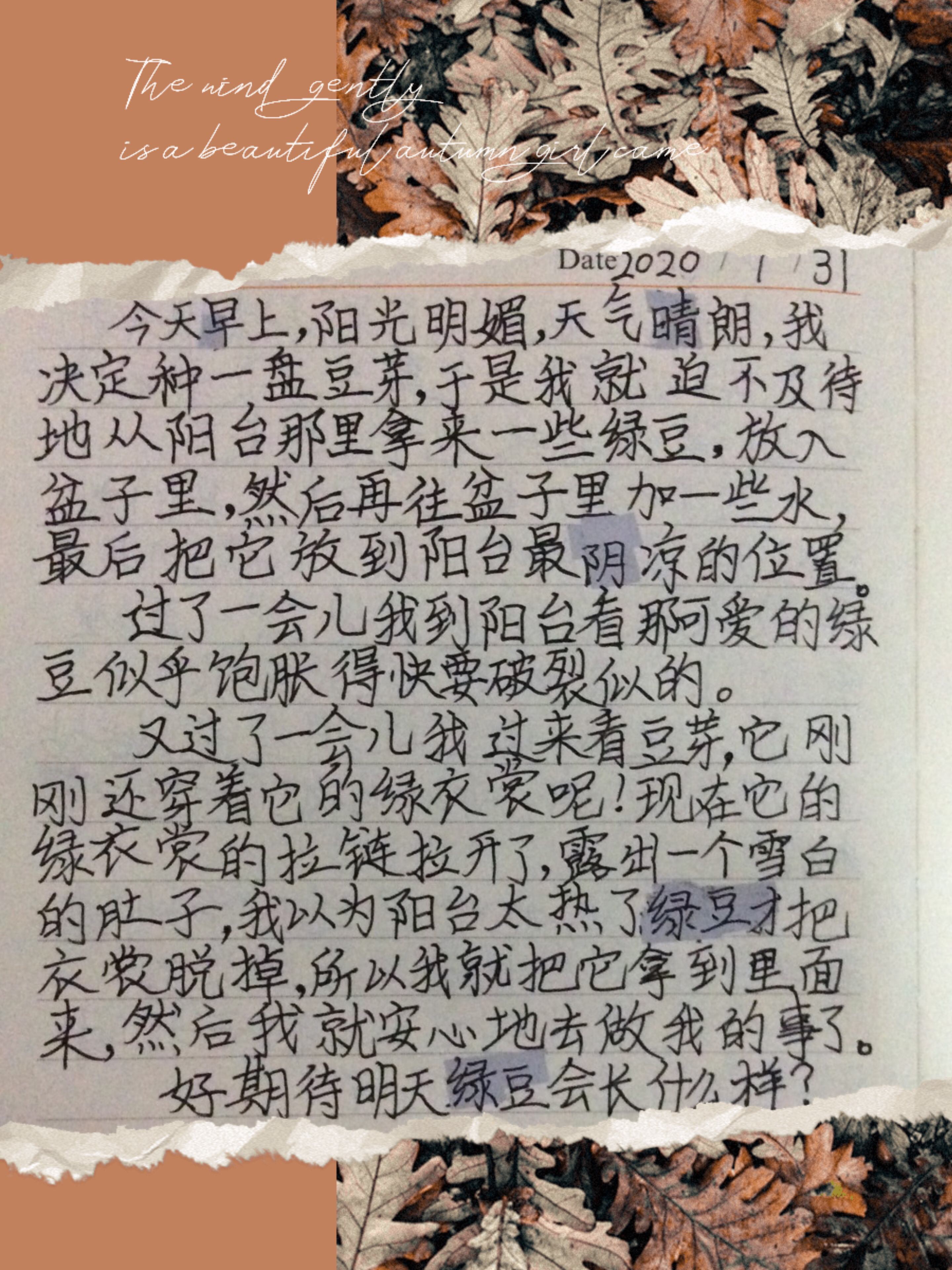 决定开始记录，留住每个特殊瞬间