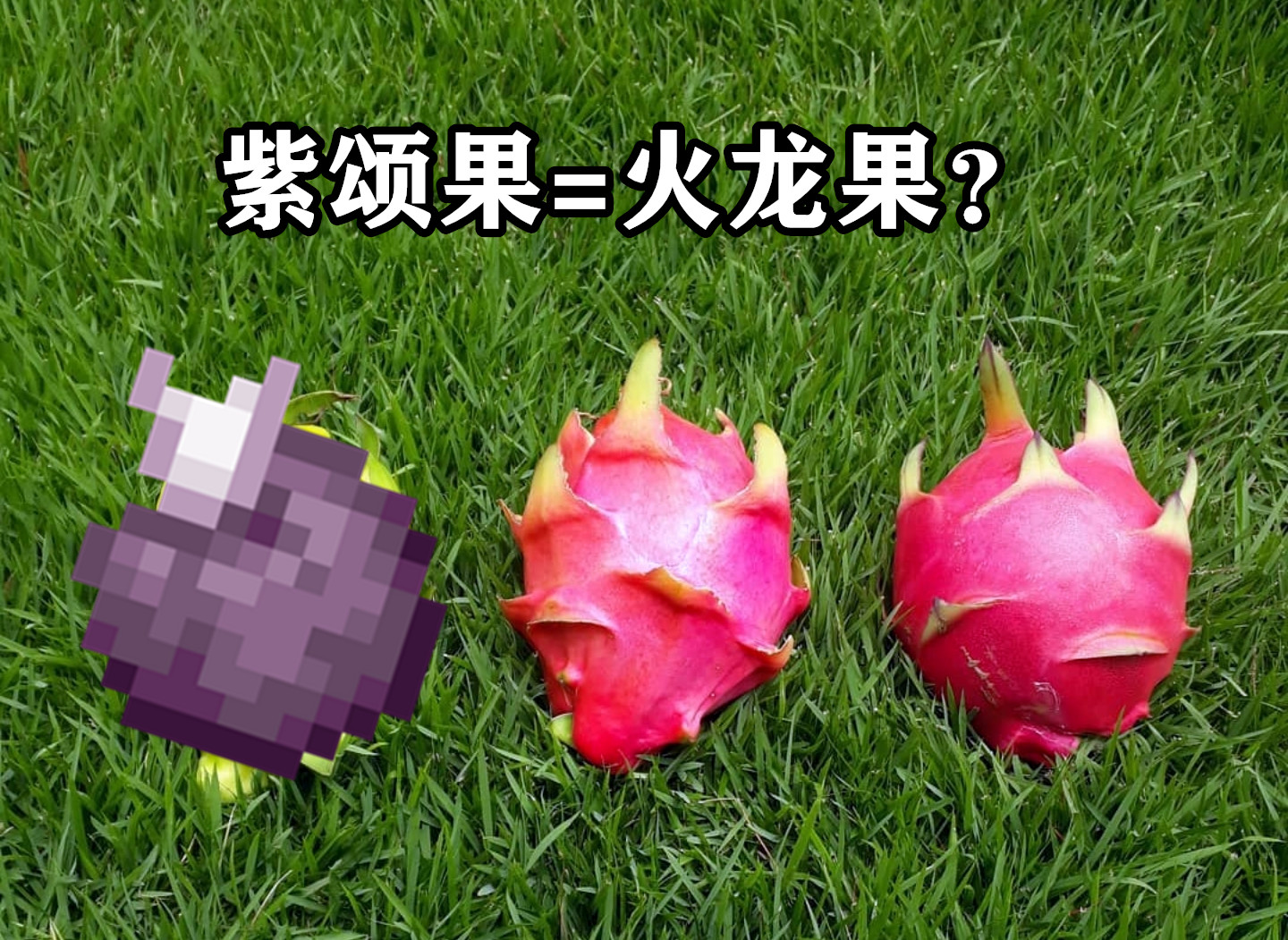 紫颂果在主世界怎么种_我的世界紫颂果有什么用_紫颂果有什么用