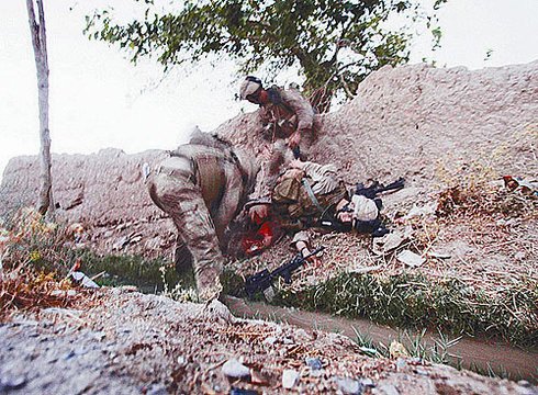 战地无疆_战地三_战地5多少钱