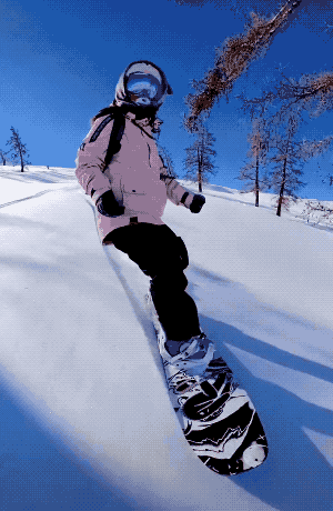 闪耀滑雪物语相性_闪耀滑雪场物语_闪耀滑雪物语破解版全无限