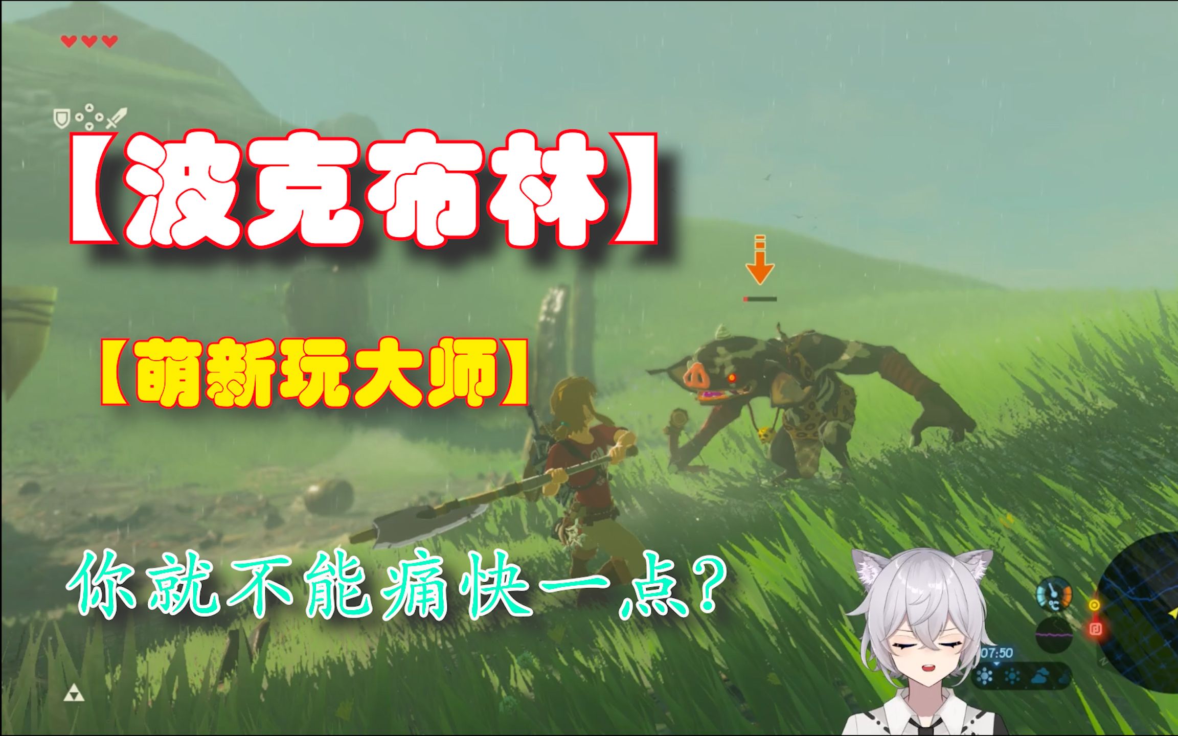 波克布林揭秘：特征一一揭晓