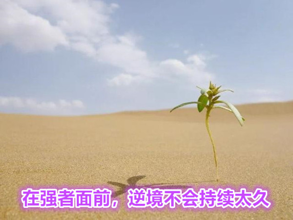 荣耀守护者之路：永劫无间