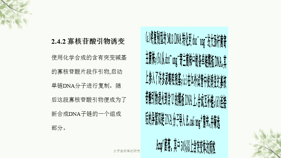 生命的奇妙旅程：不断演化的诱变奇迹