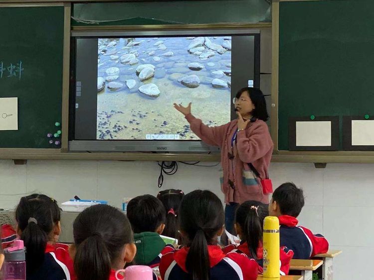 小蝌蚪高清视频_小蝌蚪高清视频_小蝌蚪高清视频
