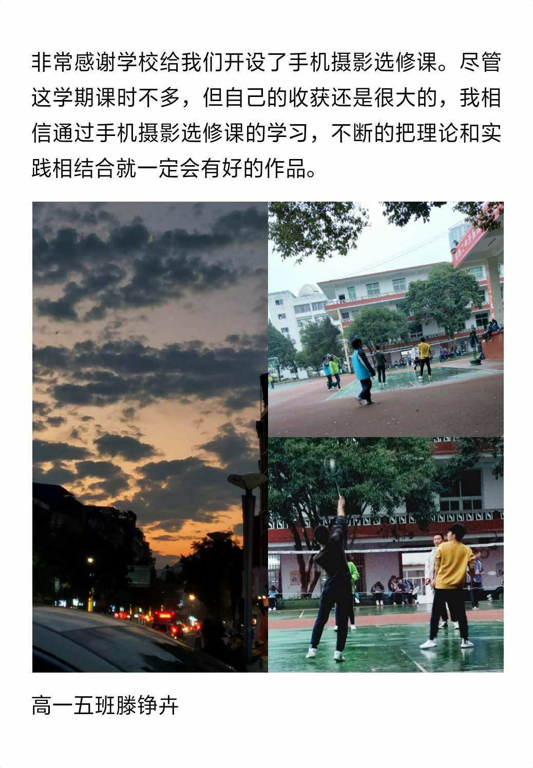 根死了_根死叶枯_死根