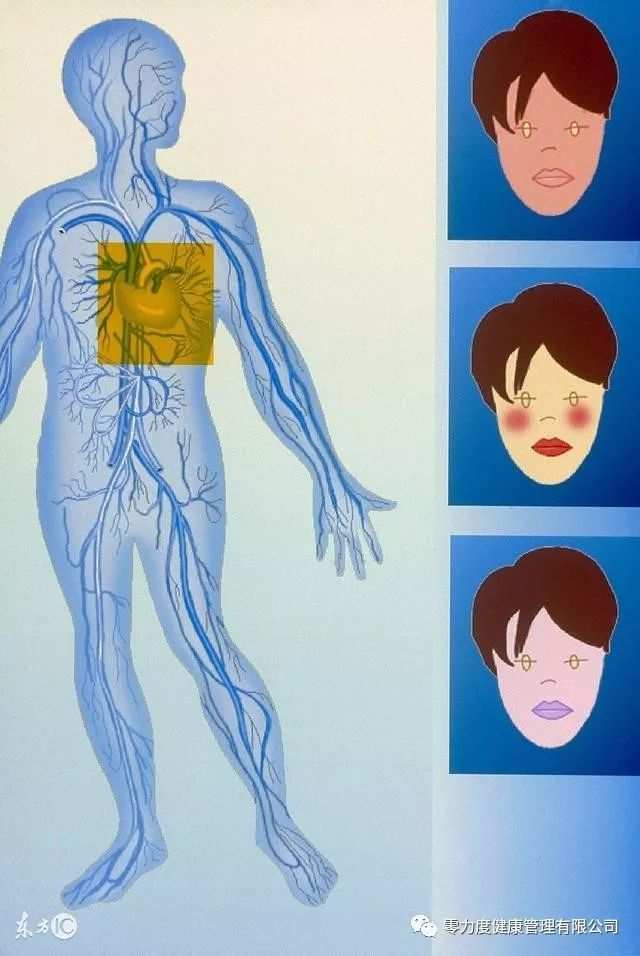 探索身体成语_探索身体会动的原因图片_探索身体