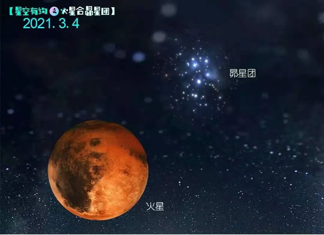 变异汪星人3：童话世界的惊喜之旅