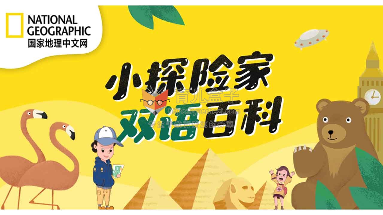 探险豆奶，解锁豆奶视频官网的惊喜