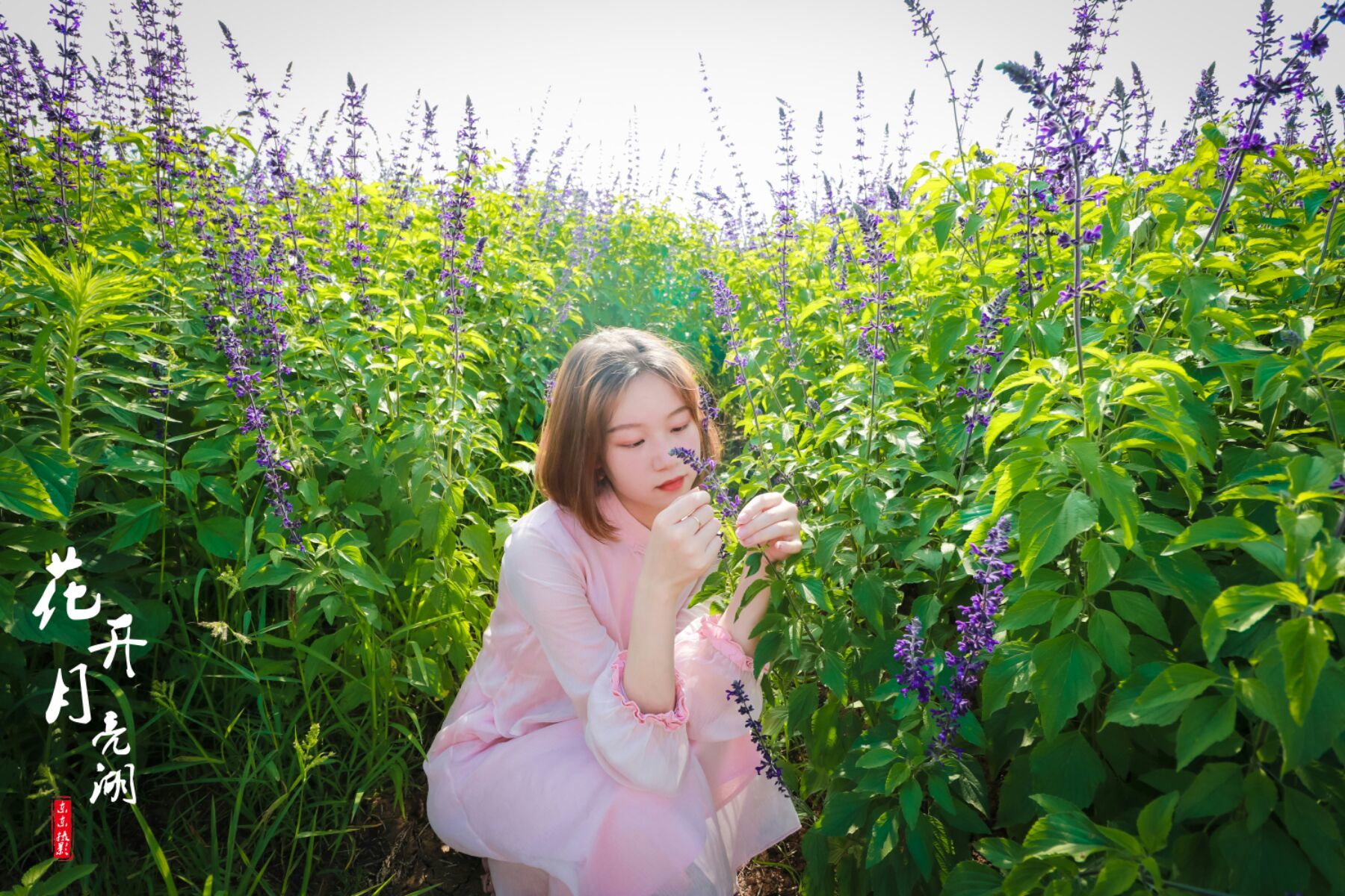 落花网打不开_落花网打不开_落花网打不开
