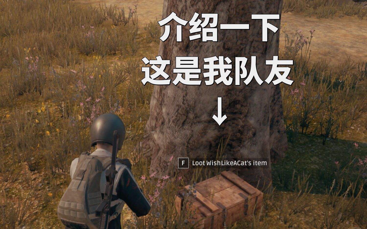 极限求生，我要玩绝地
