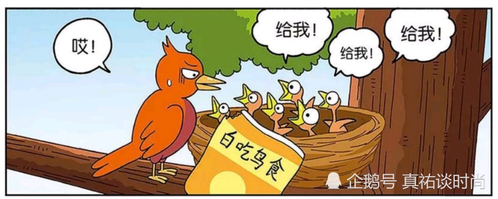 无冀鸟漫画_无冀鸟漫画_无冀鸟漫画