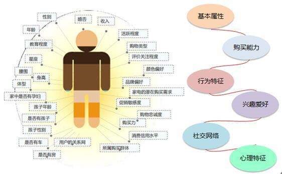 热门手游策略游戏推荐_热门手游策略游戏大全_热门手游策略游戏