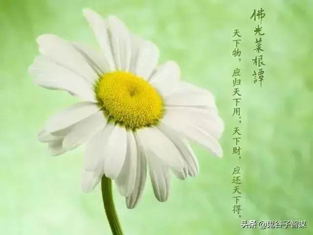 傲笑红尘：虚幻幻梦，纷繁人生