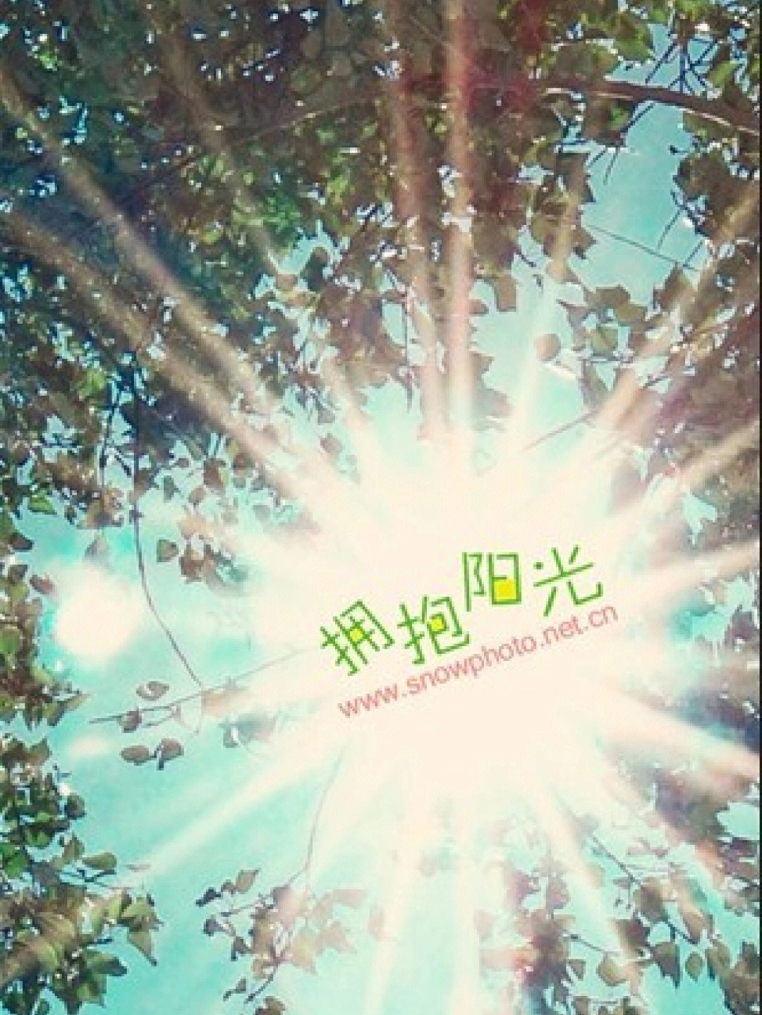 瞬间解锁快乐，变身正能量无遮挡软件