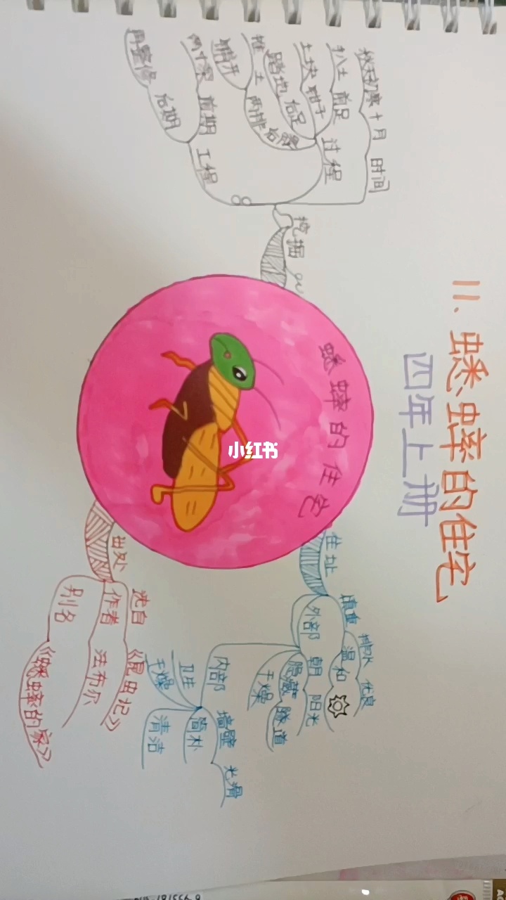 斗蛐蛐手机游戏-疯狂斗蛐蛐：挑战极限，乐趣无穷