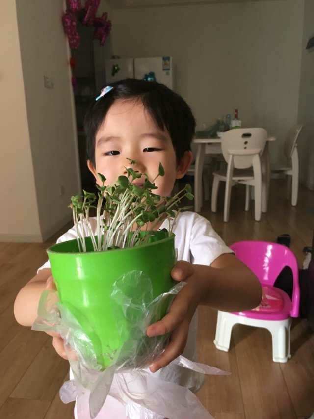 拔苗游戏_拔芽手机游戏_拔牙的游戏怎么玩