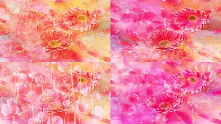 南条爱乃歌_南条爱乃_南条爱乃怎么读