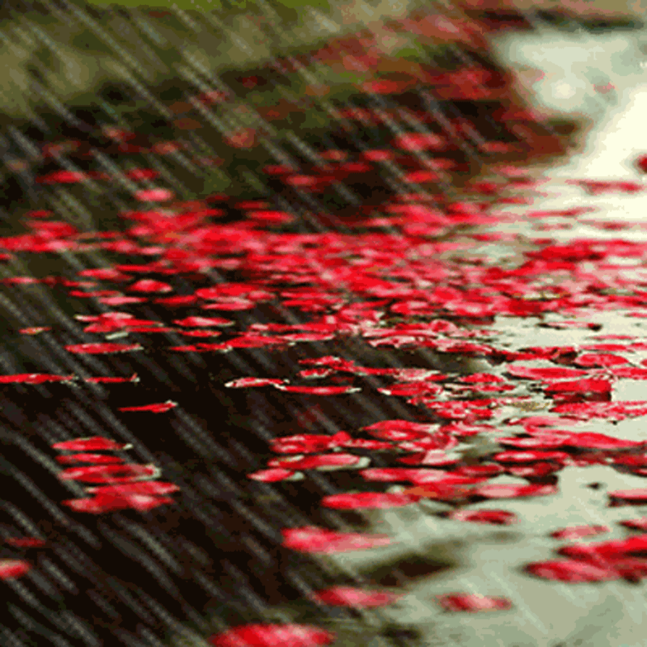 雨音_雨音_雨音