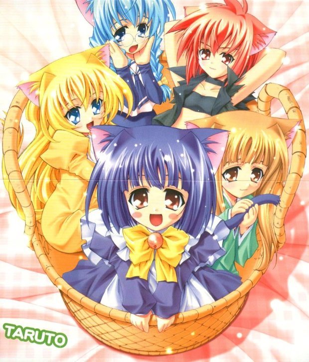 魔法少女猫_魔法猫咪少女_魔法少女的猫叫什么名字