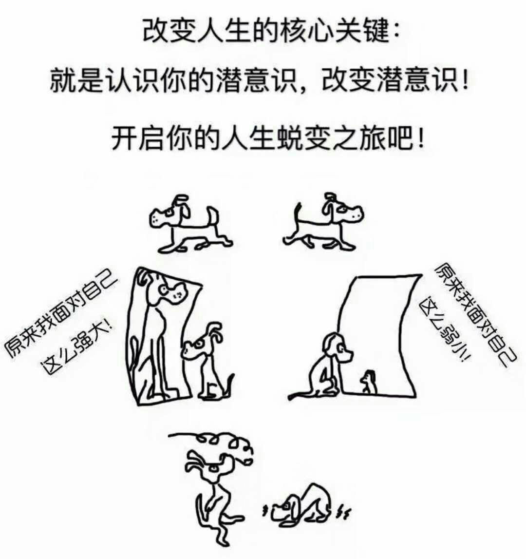 原由实配音角色_原由实明日方舟_原由实
