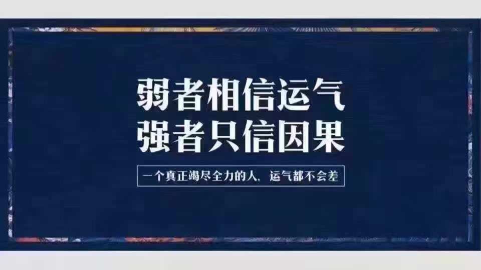 原由实_原由实配音角色_原由实明日方舟