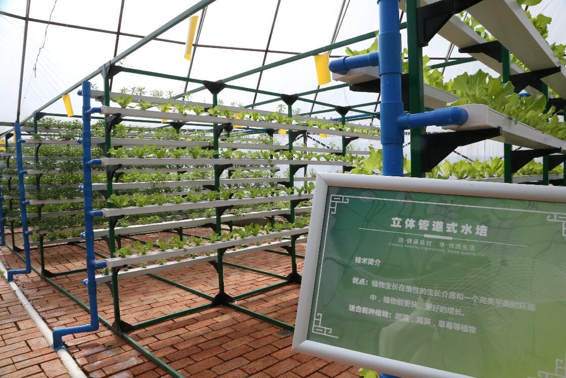 农业新力量：龙亚科技助力乡村振兴