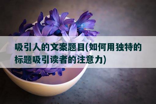 原由实-揭秘有吸引力的主题：为什么选择？
