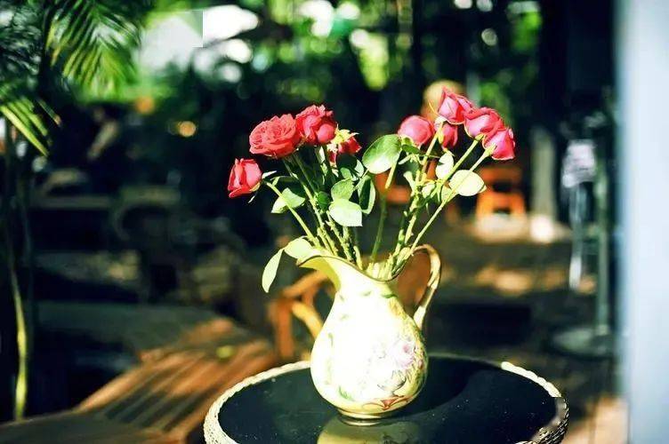 芙蕾雅_芙蕾雅_芙蕾雅