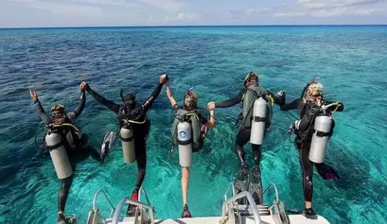 维纳斯假期：冲浪潜水双重享受，海底世界惊艳无比
