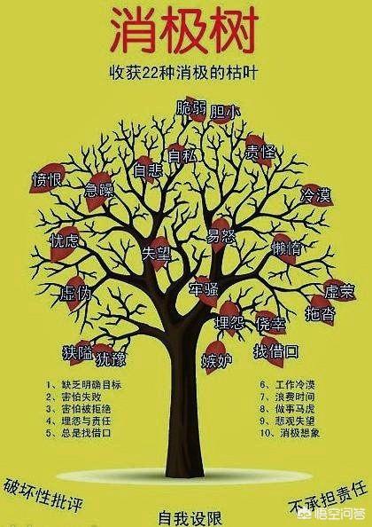 败犬-失败不是终点，坚持才是成功的关键