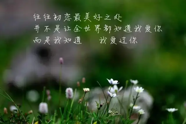 女朋友游戏软件_ai女友游戏手机下载_女朋友手机游戏