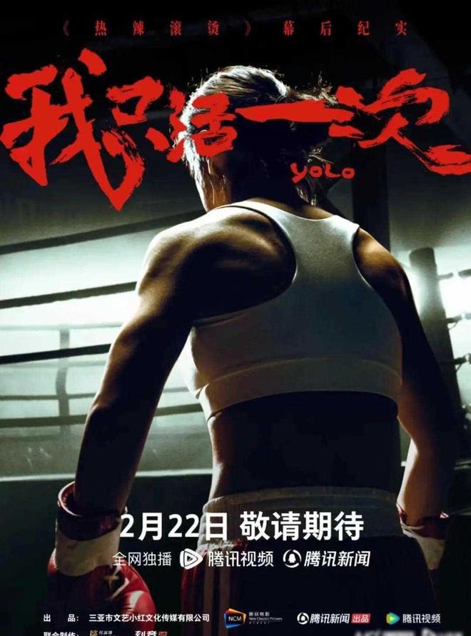 伸冤人2在线高清免费观看-揭露真相，追求正义：伸冤人2观影感