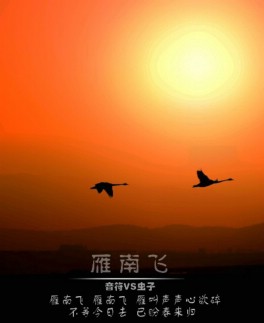飞闪制作视频下载-从零开始，教你轻松制作专业视频