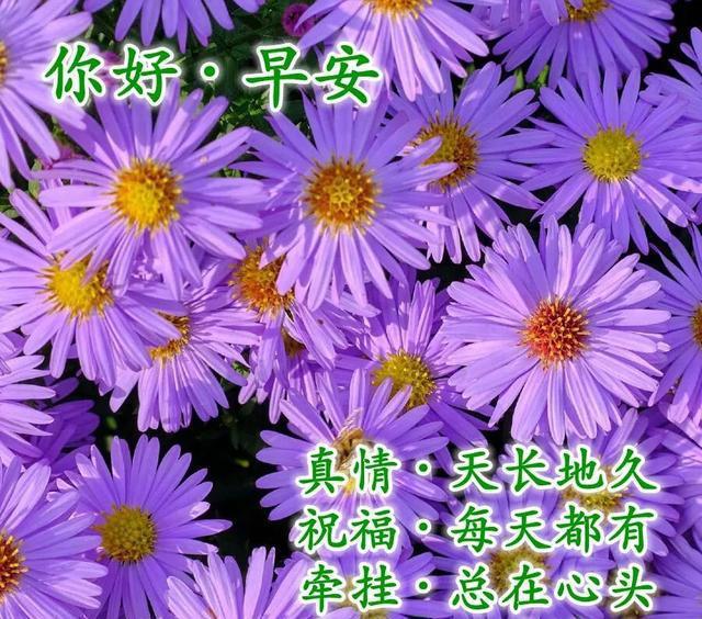 74岁属什么生肖-70岁智者教你：长寿秘诀大揭秘