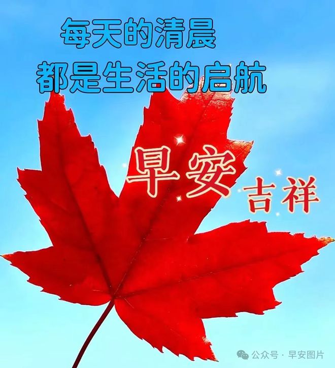 早鸟什么意思_早早鸟啥意思_什么是早鸟
