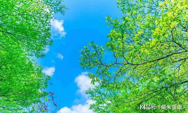 早鸟什么意思_什么是早鸟_早早鸟啥意思