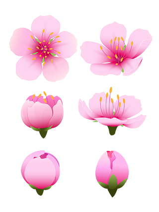 日本樱花节-日本樱花盛开，爱情与幸福交织的浪漫时刻