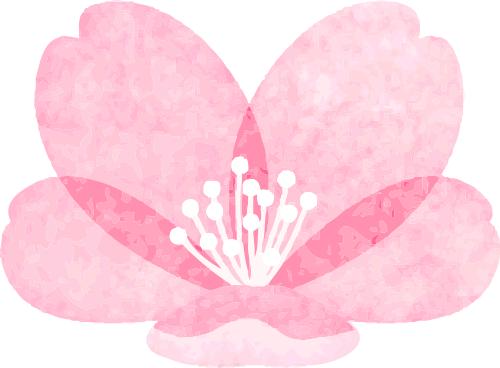 伴我同行2_旅游找伴同行app_伴同行作文