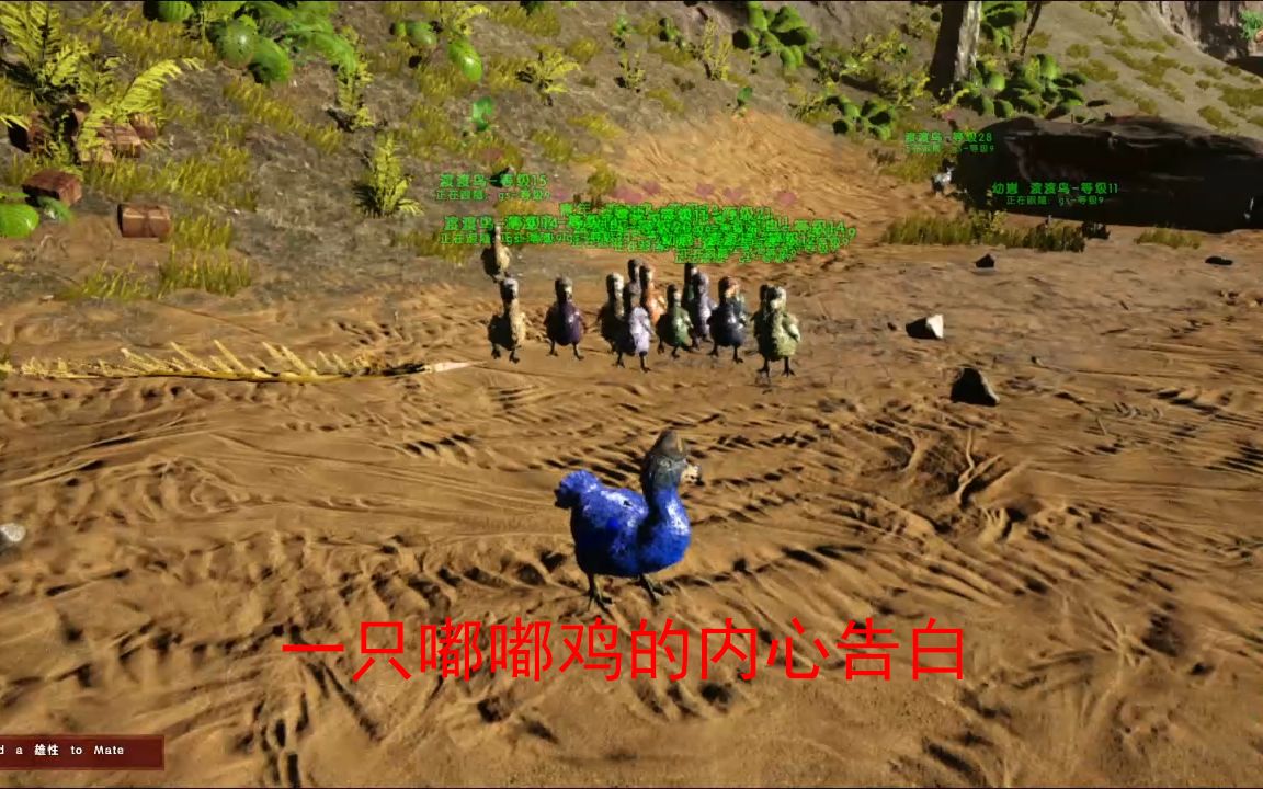 好玩鸡吃手机游戏有哪些_吃鸡好玩的手机游戏有哪些_好玩的手机游戏吃鸡