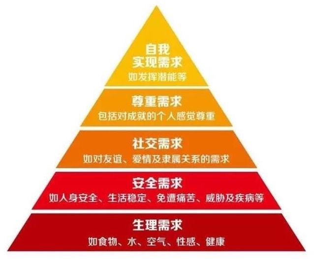 幼驯染是大总统-幼驯染：领袖魅力与政治智慧，探索其成为大总统