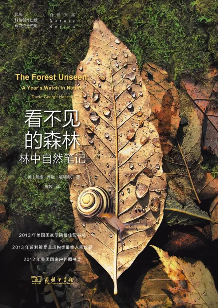黎恩_黎麦米_黎子流与黎悦明