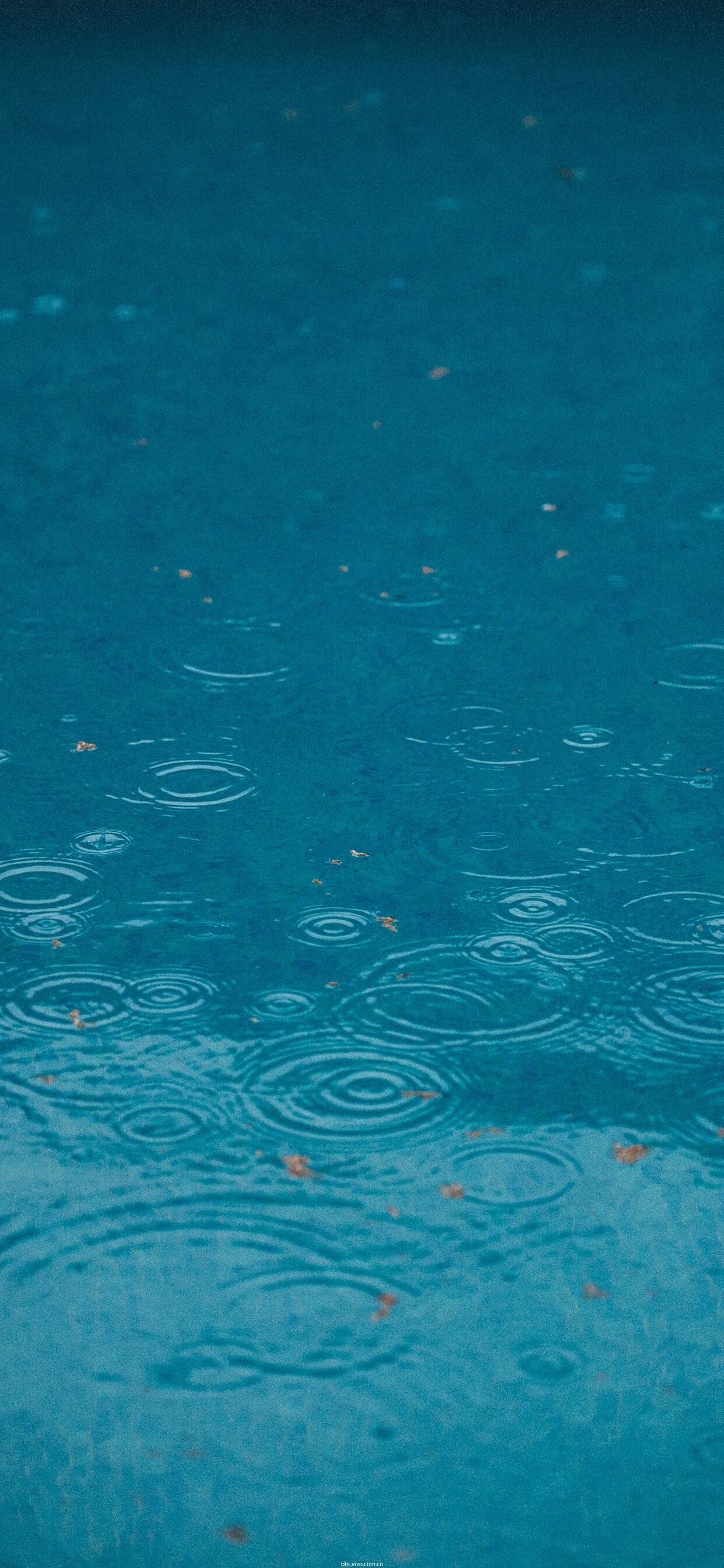 交响乐雨打芭蕉_交响乐之雨_交响乐雨夜花