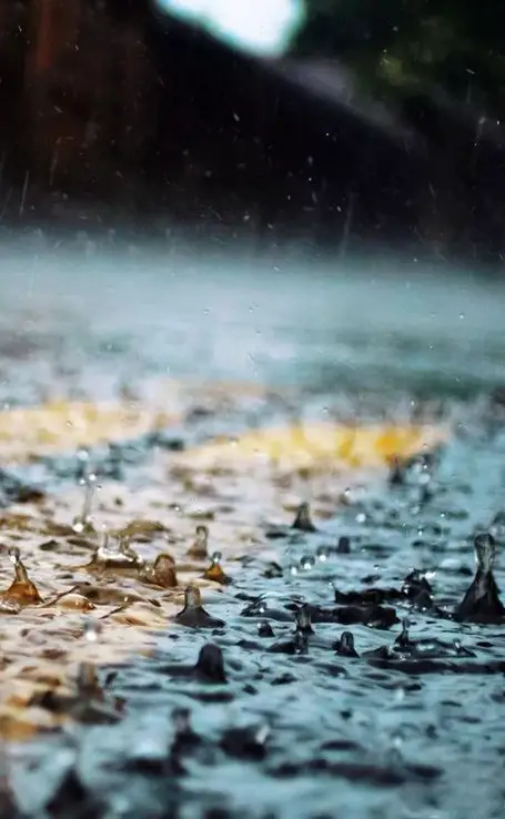 交响乐之雨_交响乐雨打芭蕉_交响乐雨夜花