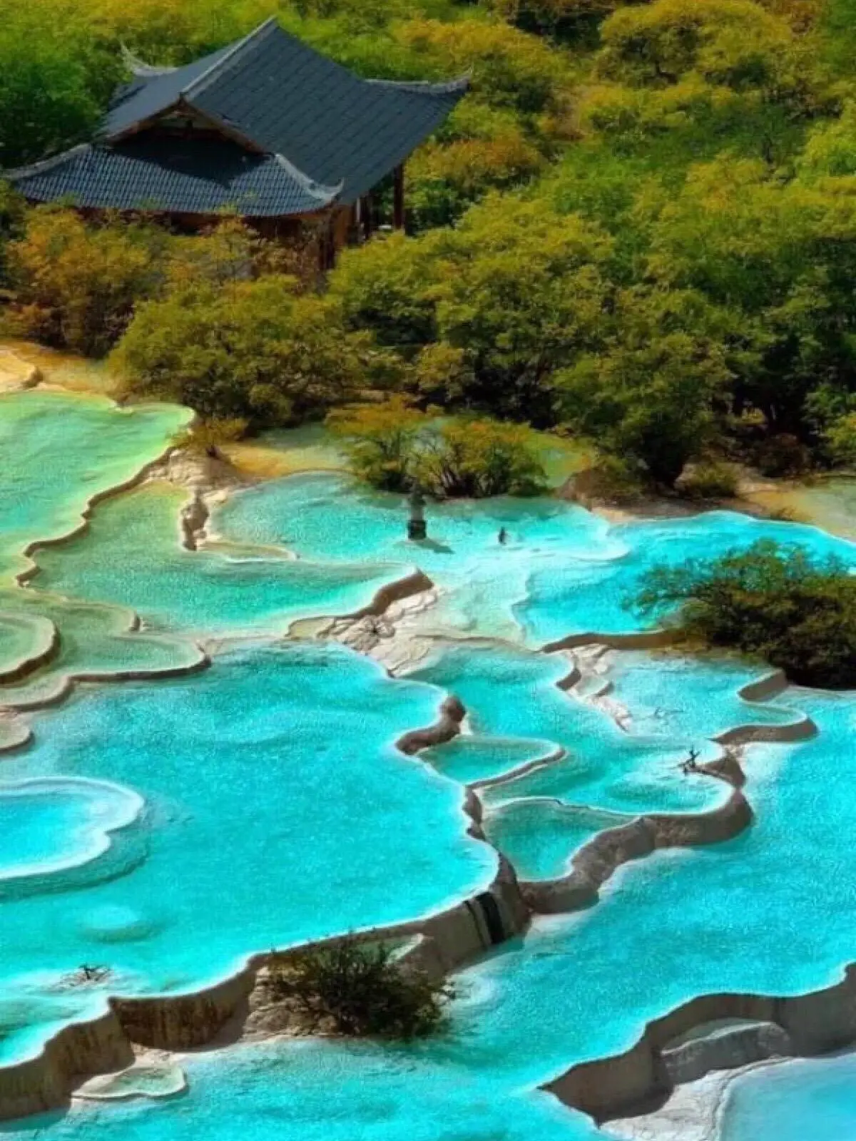 丹羽之旅：探寻人间仙境的美丽故事与情感回忆