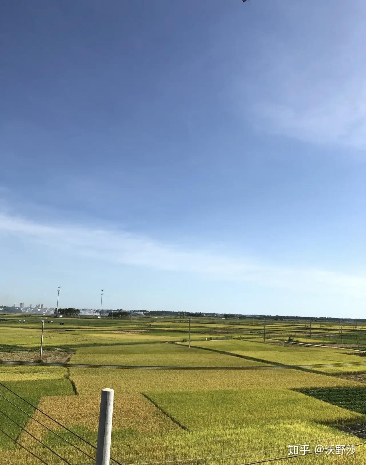沉迷手机游戏的危害手抄报_沉迷玩手机游戏怎么办_沉迷手机游戏有什么坏处